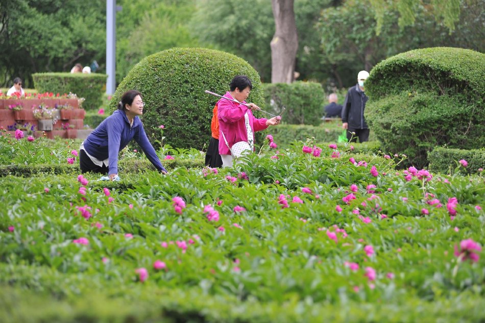 M性生活免费片