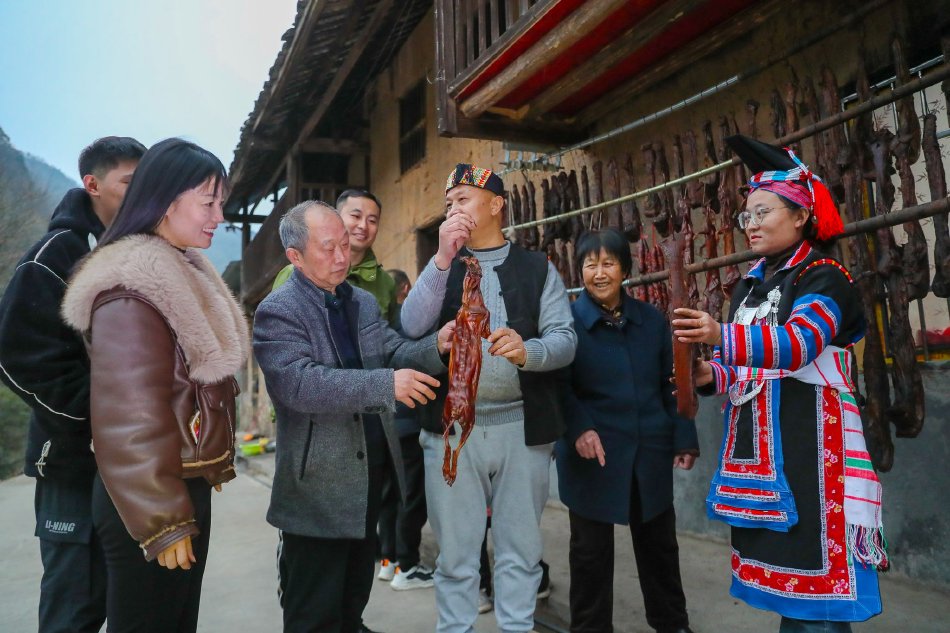 免费黄色网络