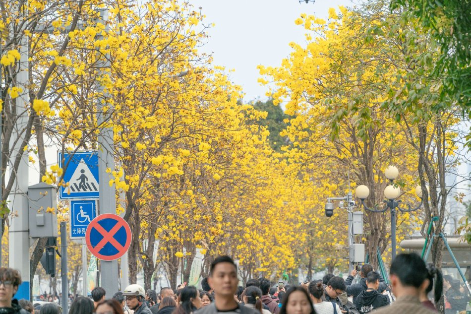 欧美黑人又粗又大