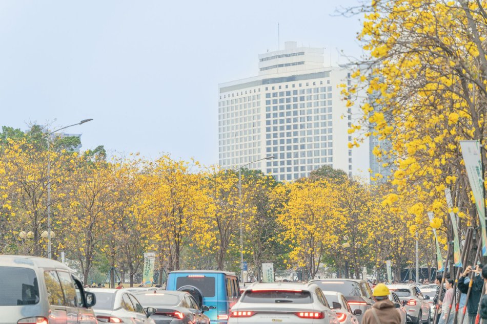 影音先锋大黑吊大黑吊大黑吊大黑吊日吊网站