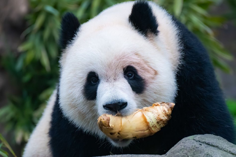 天天爽天天干