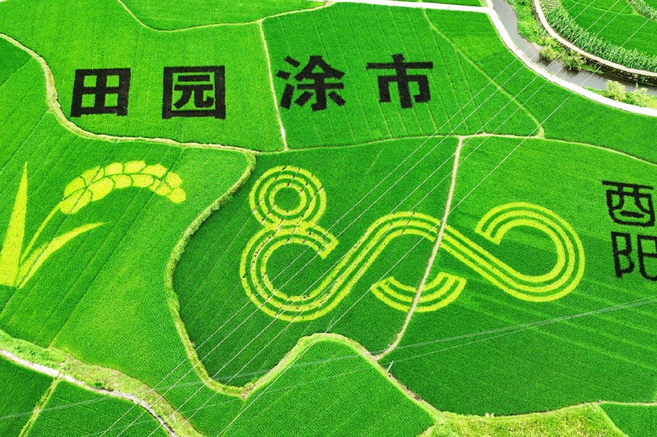 欧美黄片下载