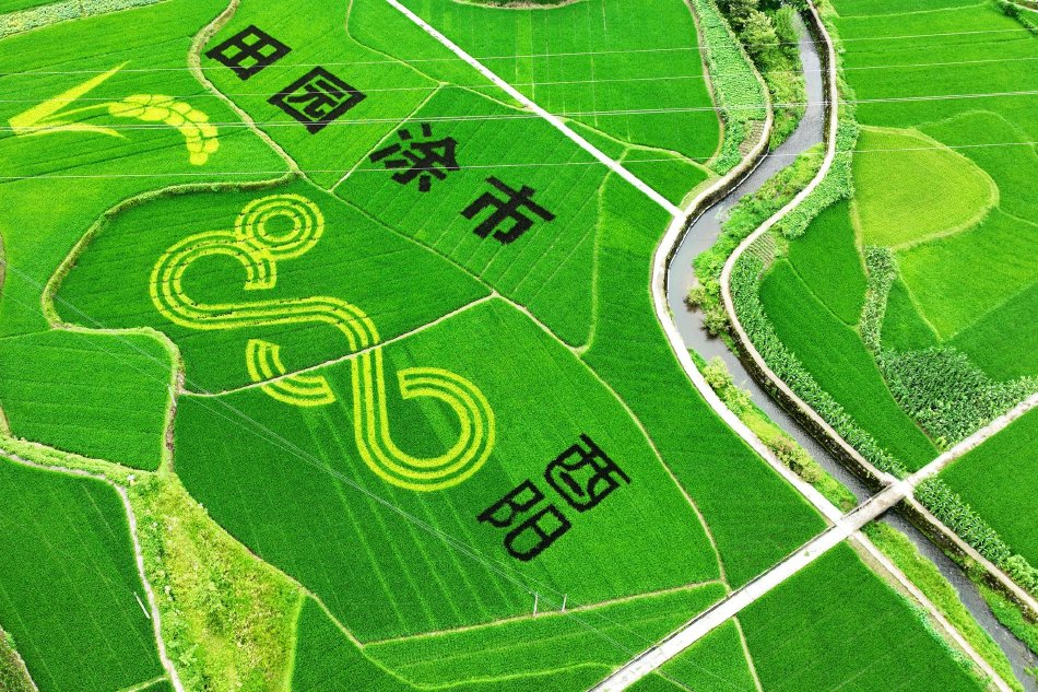偷拍办公楼女厕尿视频