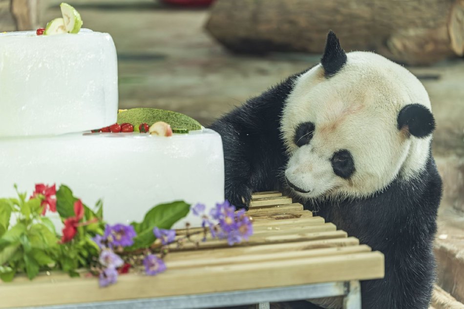 杨钰莹性做爰A片免费