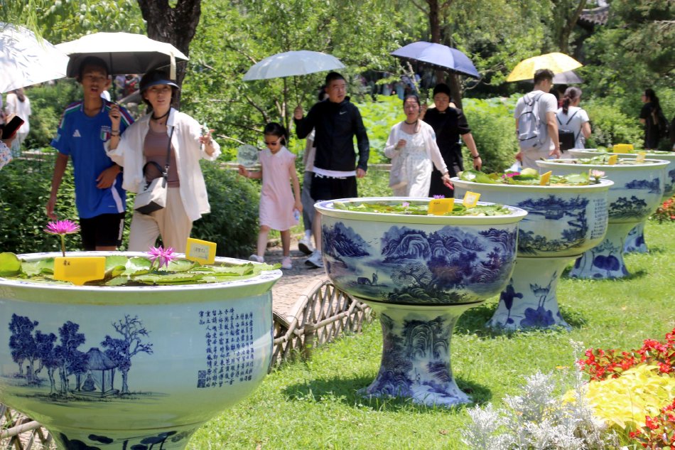 人妻干P干