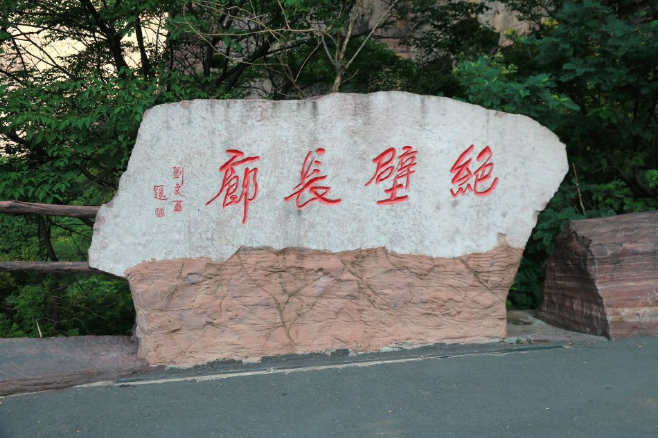 精品一级毛片A久久久久