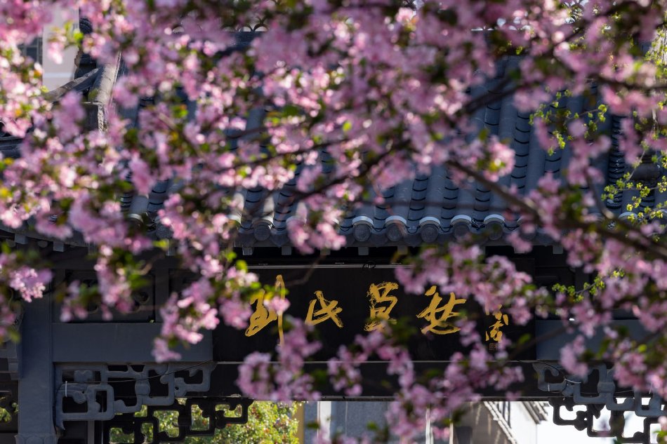 动漫海报