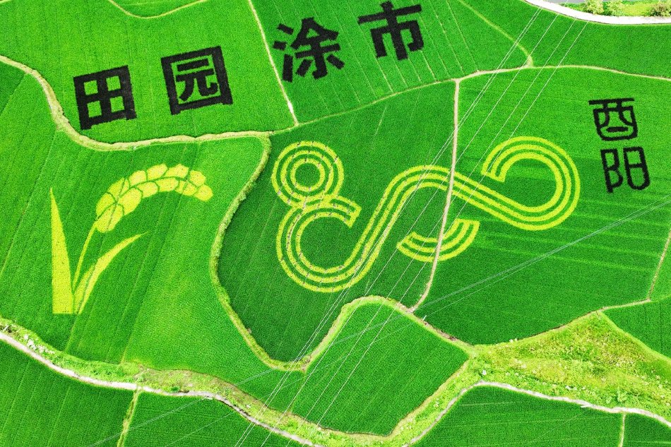 黄黄的网站