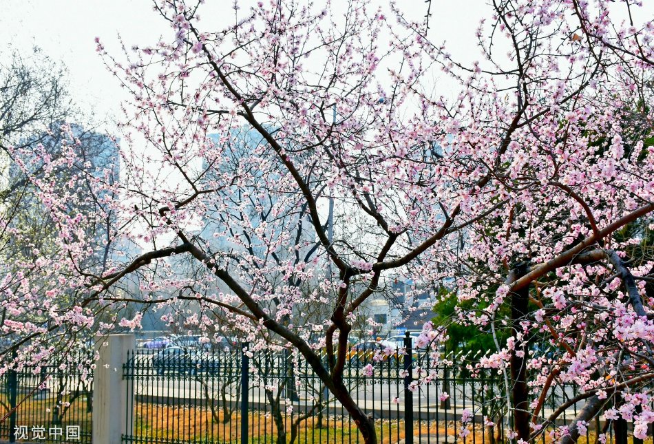 白丝校花自慰