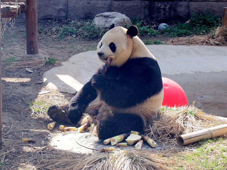 国产一级婬乱片A片AAA图片