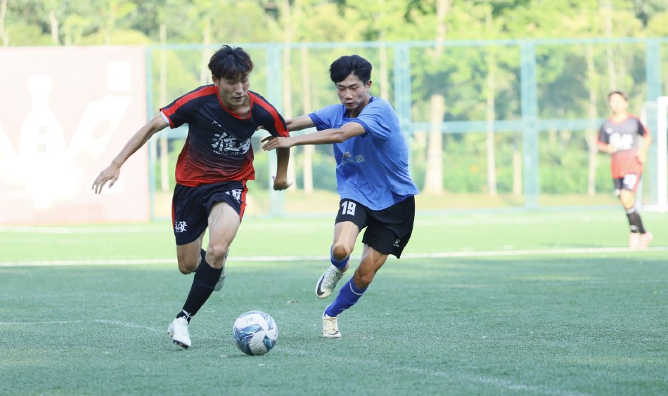 波多野结衣电影免费观看伦理片