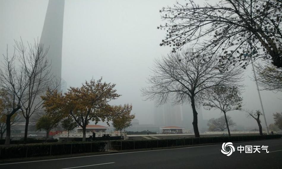 操鸡软件