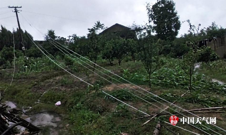 国产一区在线视频