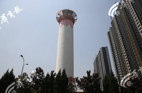 高井桃