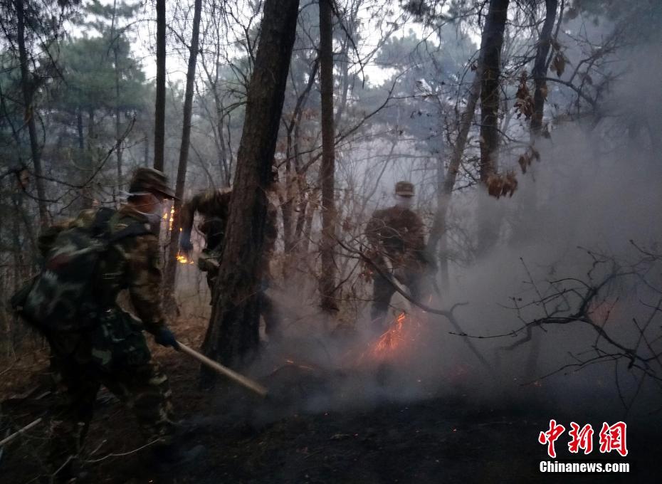 无码免费视频