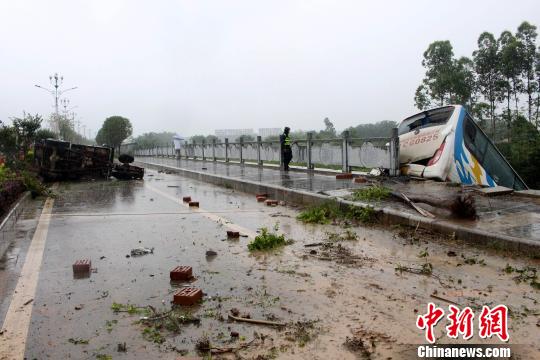 黄黄小电影观看