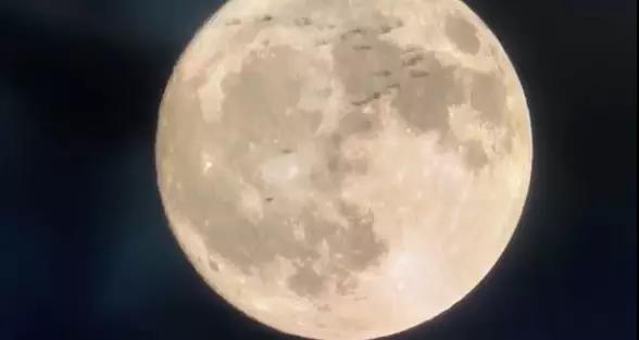 綾波涼
