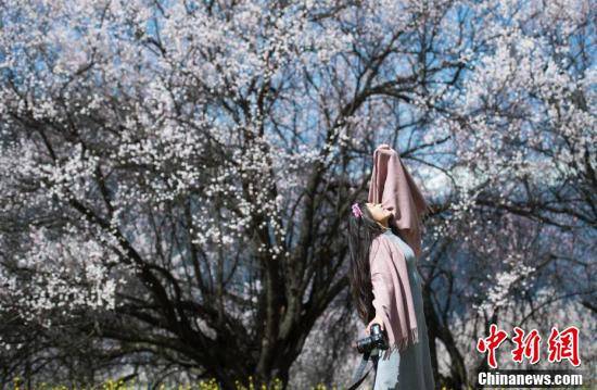 360水滴摄像头酒店大床房主题