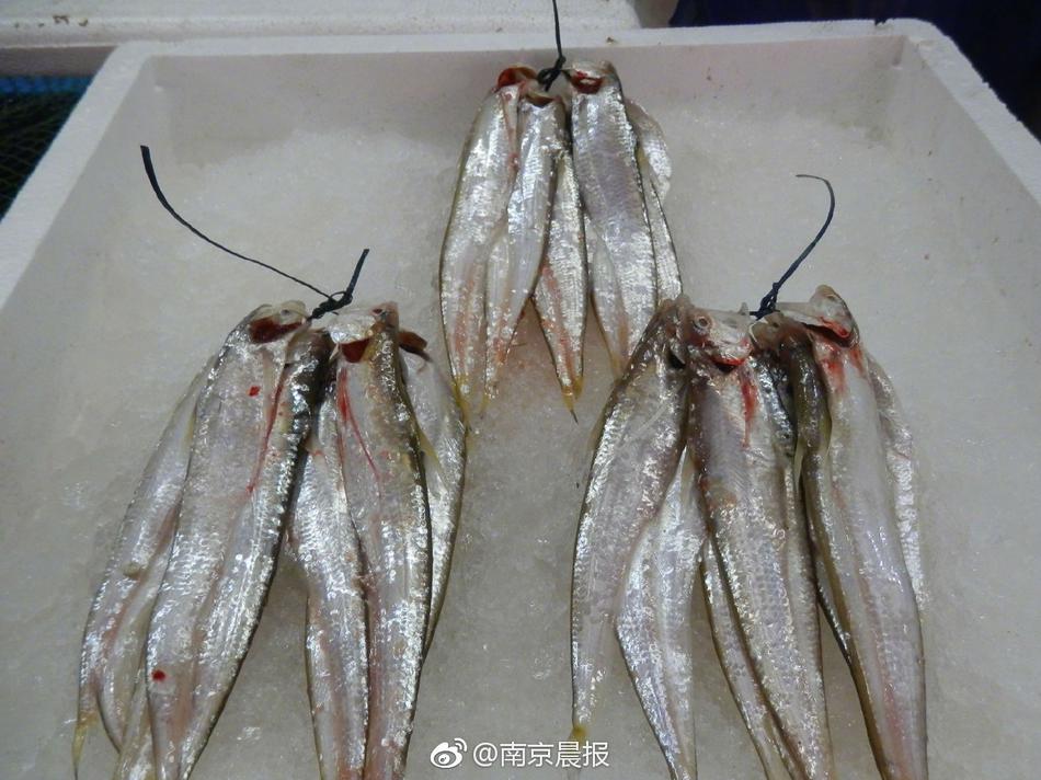 天堂网www