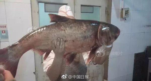 亚洲乱伦理片