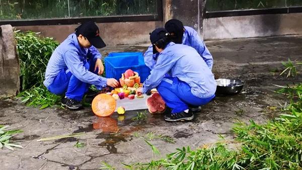 国产一级免费