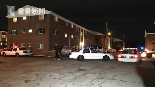 6080新视觉新理论的版权问题