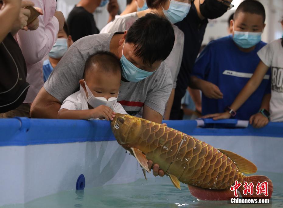 撕开 吸奶头 进屁