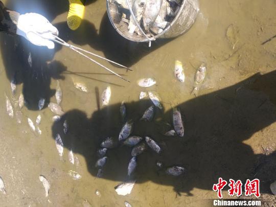 电影走光