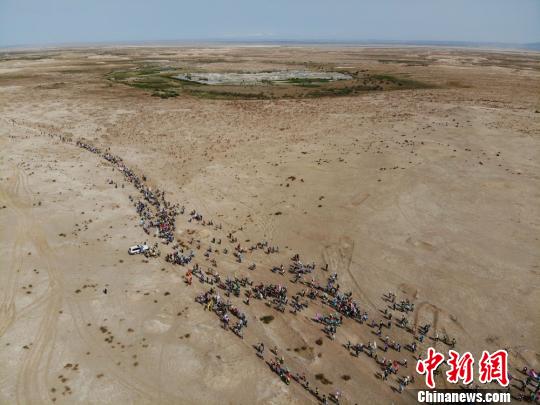 抖阴破解版下载