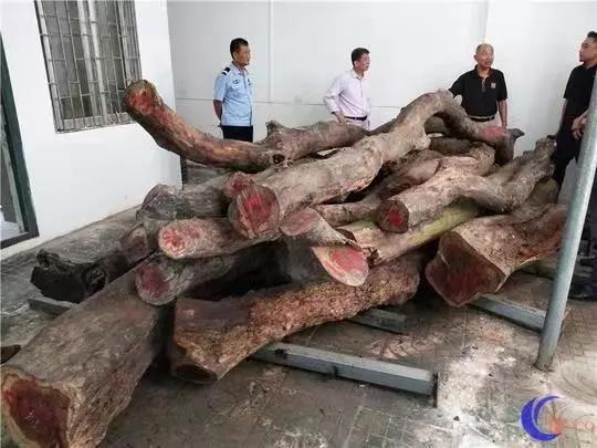 欧美三級片黃色A三級片黃色