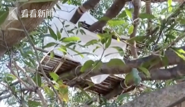 做爱 的 短 片