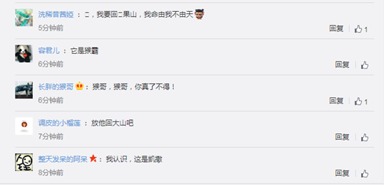 某大學校花又被偷拍外流