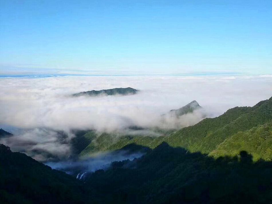 扒開腿灌牛奶拏調教鞠婧祎