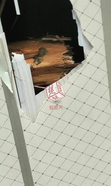 欧美午夜精品久久久久久浪潮