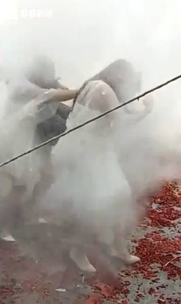 成人视频在线观看