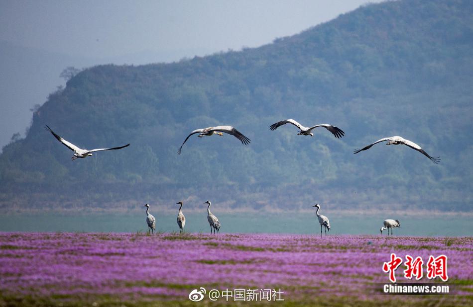 海贼王变碰瓷王《疯狂碰碰车》特色英雄曝光[多图]