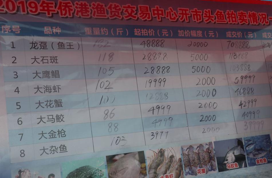 在線 成人 網