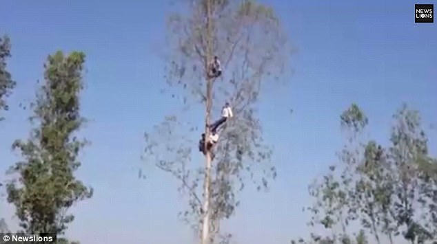 360 水滴 居家 系列