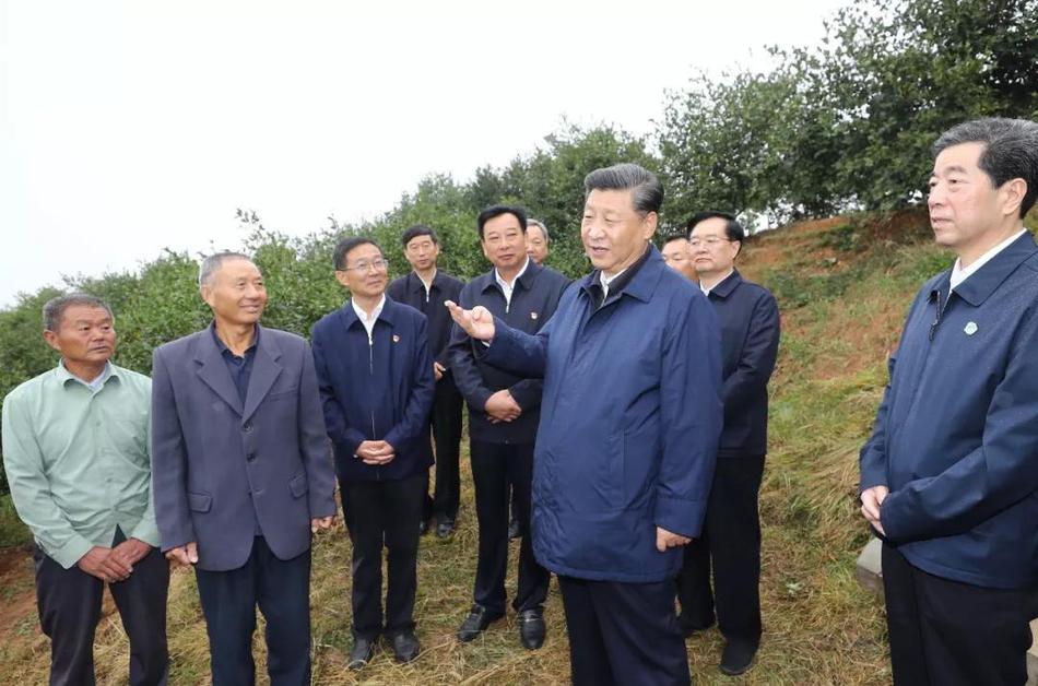 在線 成人 視頻