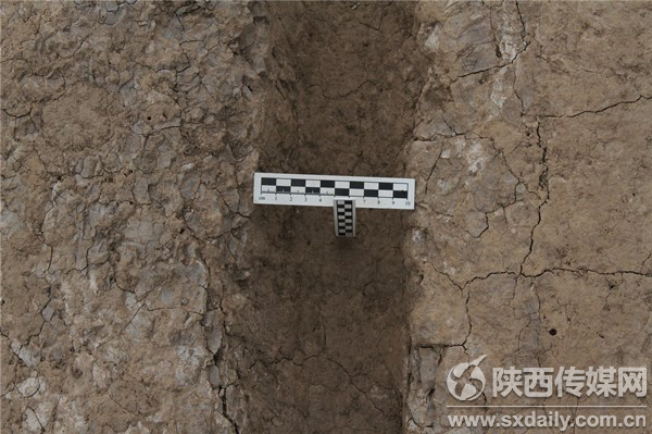 欧美老头与老头肛交