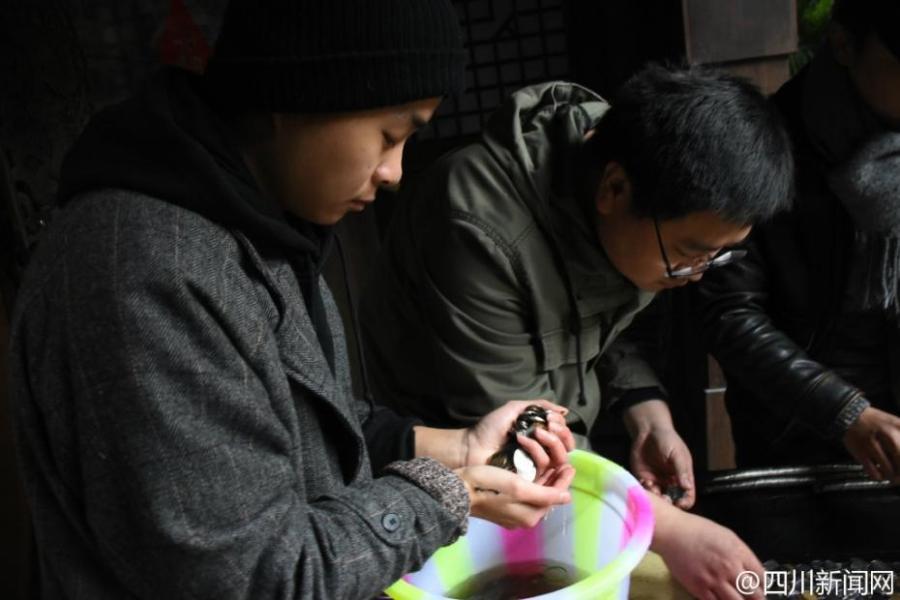 张柏芝黑森林毛又粗又长