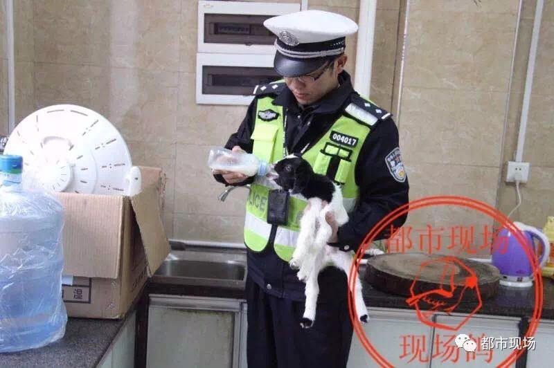 97久久精品