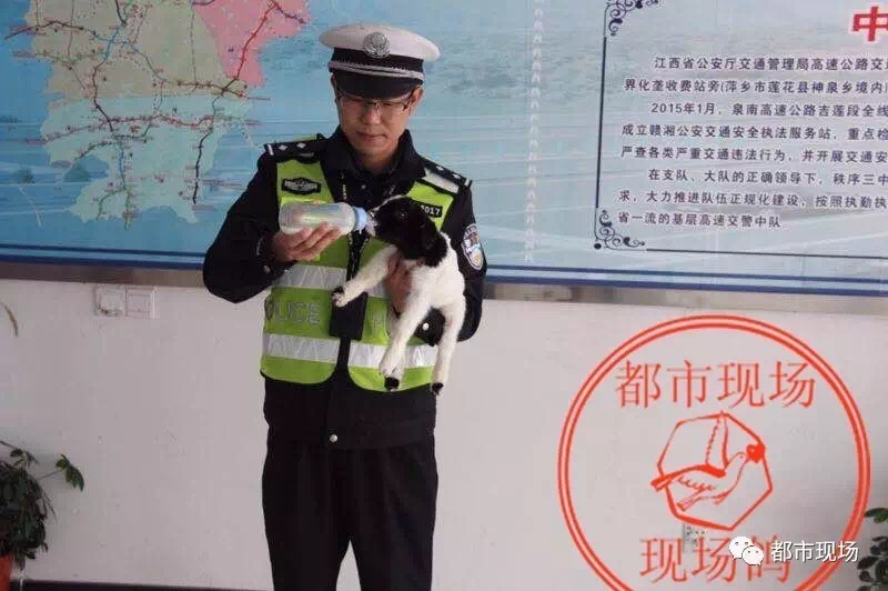 JlZZ成熟丰满老女人