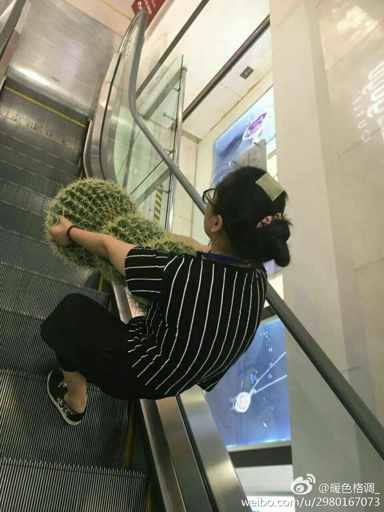 91最新网址