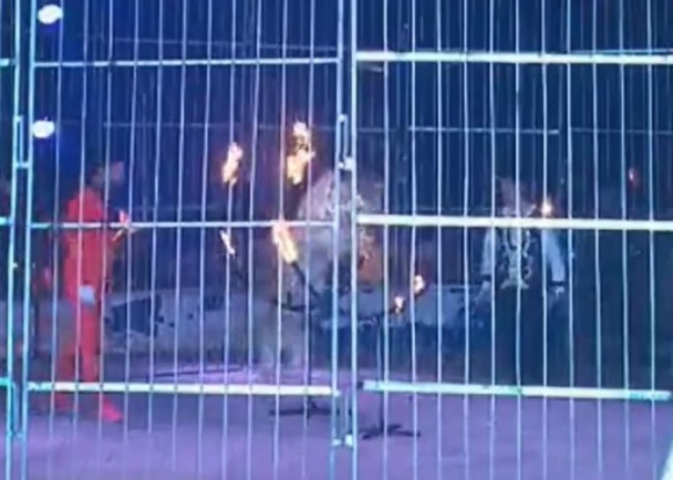 后宫动漫