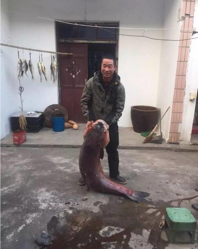 外国一级黄色网站