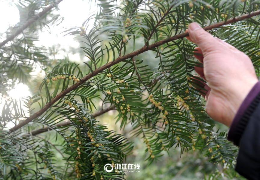 女奥特曼被 到爽羞羞动态