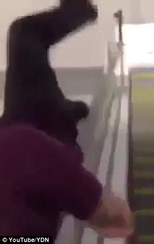 免费Av在线