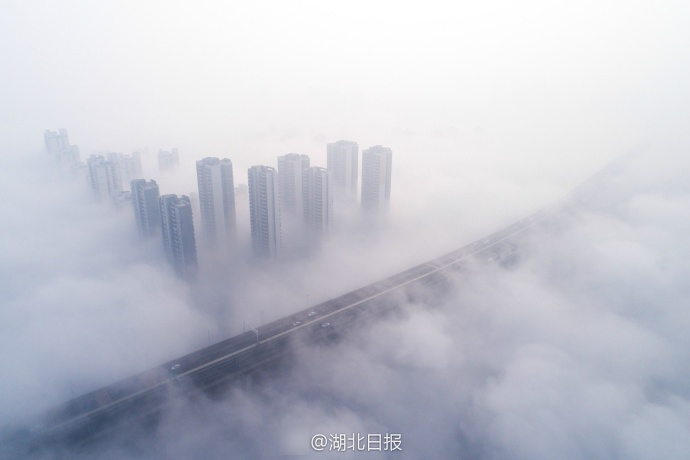 涉谷果步