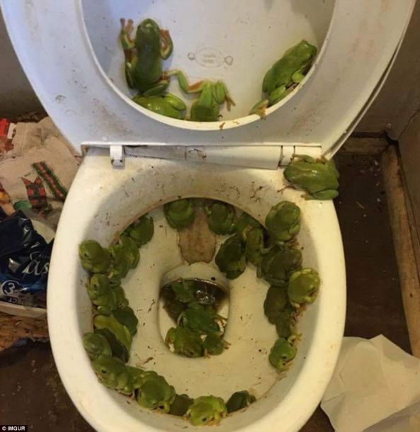 九色PORNY视频国内自